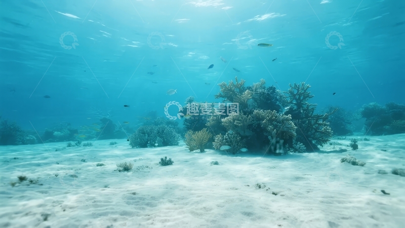 高清大图下载【趣麦麦图】海底珊瑚礁与游鱼的宁静景象