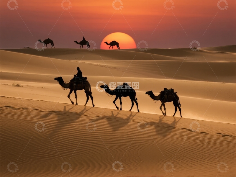 高清大图下载【趣麦麦图】沙漠中骆驼队在夕阳下行走的剪影画面