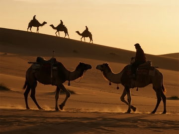 沙漠中骆驼队行进剪影
