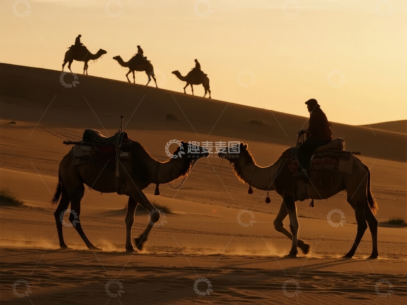 高清大图下载【趣麦麦图】沙漠中骆驼队行进剪影