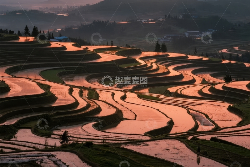 高清大图下载【趣麦麦图】夕阳下梯田层层叠叠水面倒映着金色光辉
