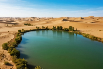 沙漠绿洲湖泊与沙丘景观
