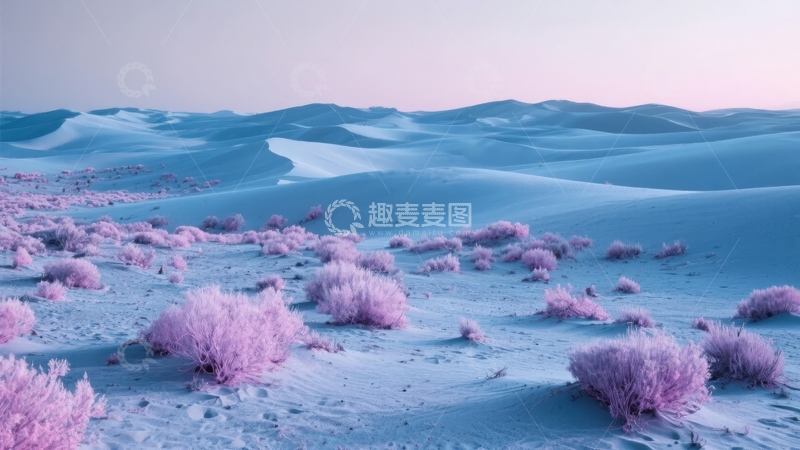 高清大图下载【趣麦麦图】梦幻沙漠景观沙丘与粉紫色植被交织