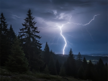 雷电划破夜空照亮森林景象