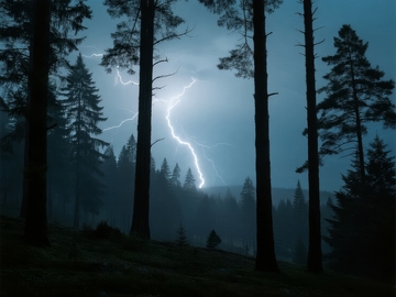 雷电划破夜空照亮森林