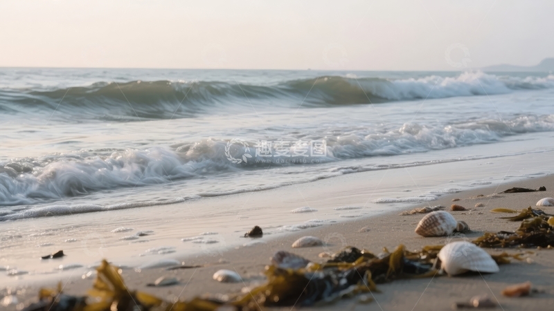 高清大图下载【趣麦麦图】海滩上波浪轻拍岸边散落着贝壳与海藻