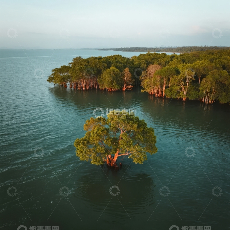 高清大图下载【趣麦麦图】孤树矗立水中绿林环绕宁静湖景