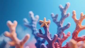 色彩斑斓的珊瑚与海星特写背景