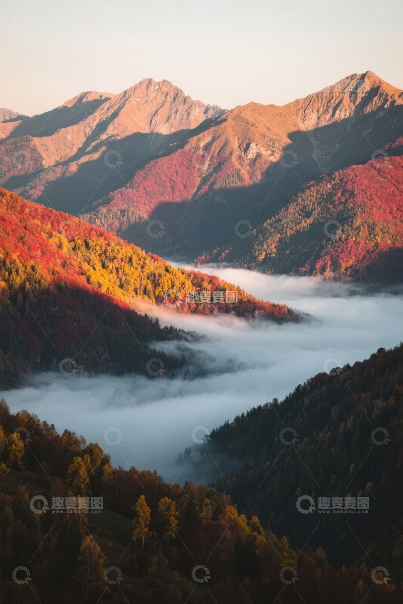 高清大图下载【趣麦麦图】晨曦中层叠山峦与云海交织的秋日山谷