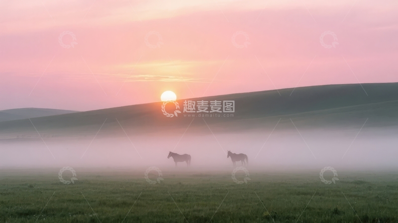 高清大图下载【趣麦麦图】日出时分雾气弥漫的草原上两匹马缓缓走过