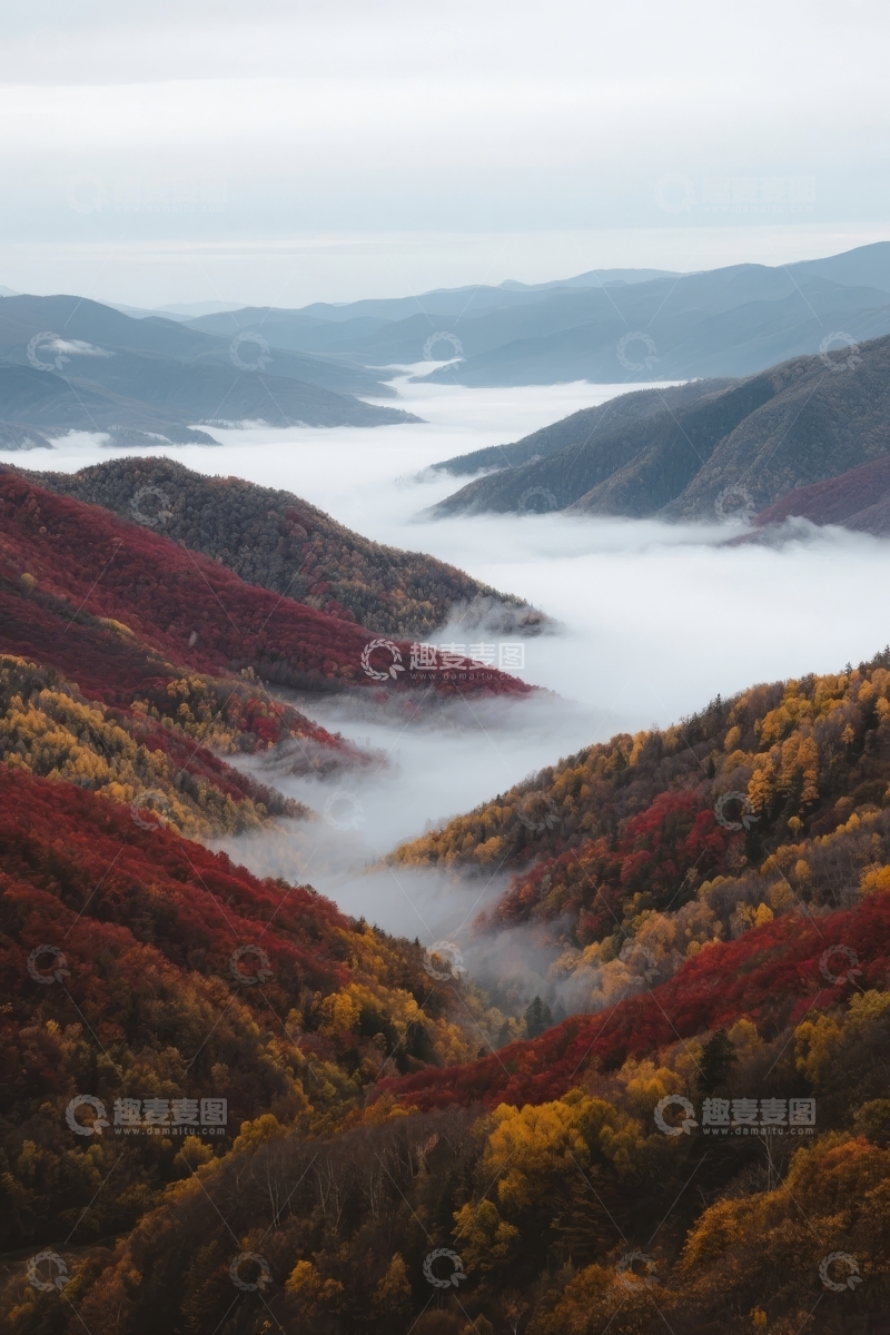 高清大图下载【趣麦麦图】云雾缭绕的秋日山谷层林尽染