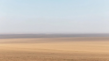 广阔无垠的干燥田野与淡蓝色天空