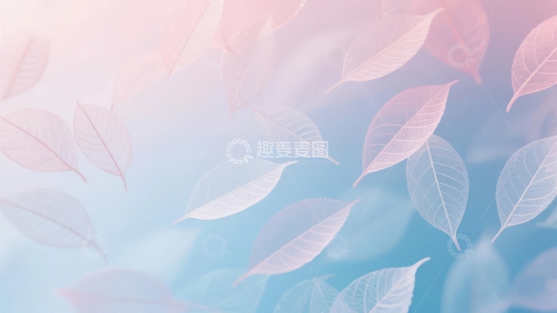 高清大图下载【趣麦麦图】淡雅渐变背景中的透明叶片图案