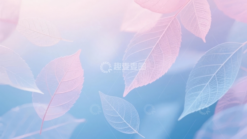 高清大图下载【趣麦麦图】柔和光线下的粉色与蓝色渐变叶片背景