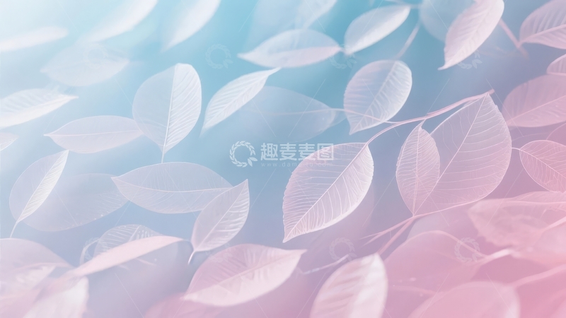 高清大图下载【趣麦麦图】柔和渐变背景中的透明叶片图案