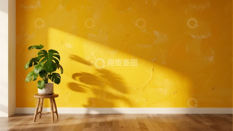 高清大图下载【趣麦麦图】黄色墙壁旁的绿植在阳光下投下阴影