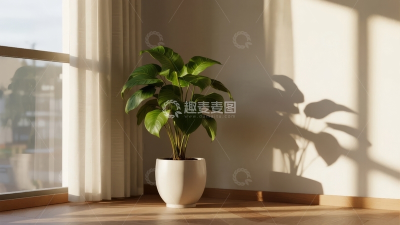 高清大图下载【趣麦麦图】室内窗边绿植在阳光下投射出阴影的宁静场景