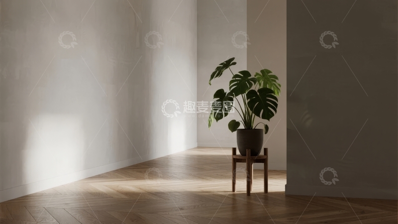 高清大图下载【趣麦麦图】简约室内角落摆放绿植营造宁静氛围