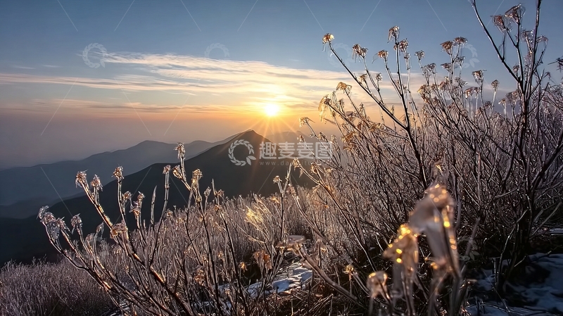 高清大图下载【趣麦麦图】日出时分山巅霜花绽放美景