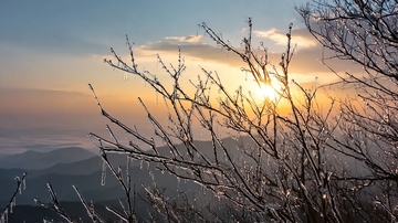 冰霜树枝映衬日落山景
