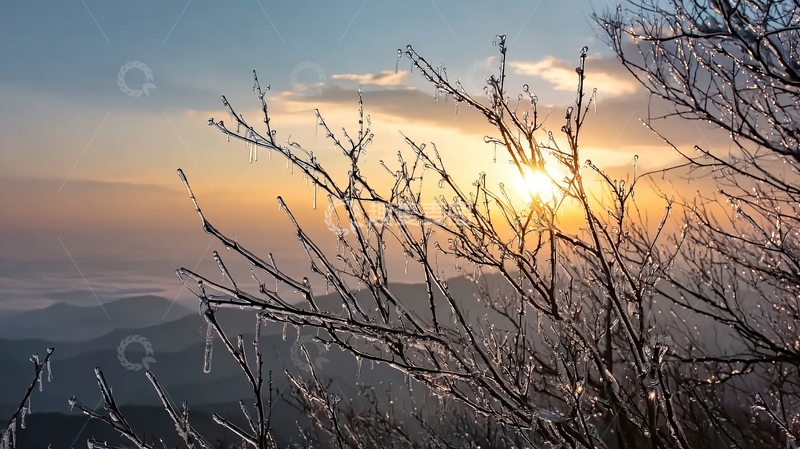 高清大图下载【趣麦麦图】冰霜树枝映衬日落山景