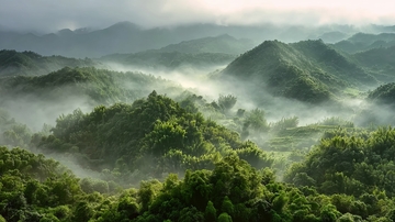 云雾缭绕的翠绿山峦层叠起伏