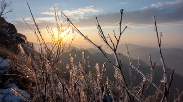 日出时分山巅霜枝映霞光