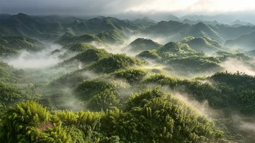 晨雾缭绕的翠绿山峦层叠起伏