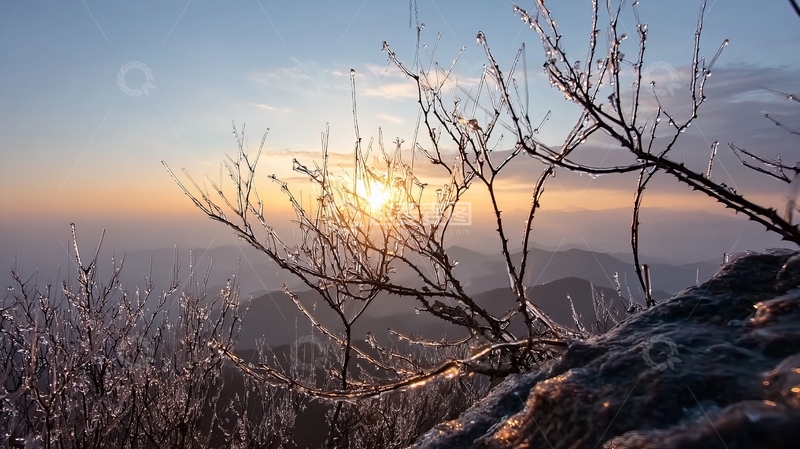 高清大图下载【趣麦麦图】冰霜覆盖的树枝在日出时分映衬着远方山脉