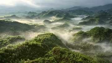 晨雾缭绕的翠绿山峦层叠起伏