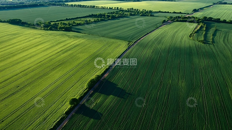 高清大图下载【趣麦麦图】高空俯瞰绿色田野与蜿蜒小路的宁静乡村景象