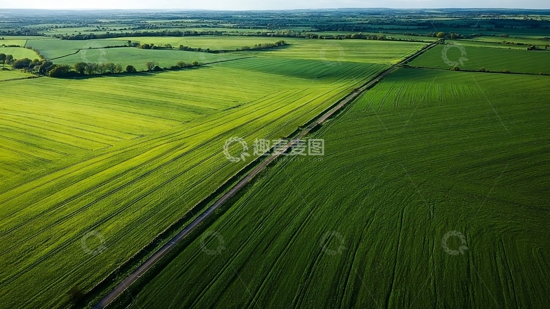 高清大图下载【趣麦麦图】高空俯瞰绿色田野与笔直道路交织的田园风光