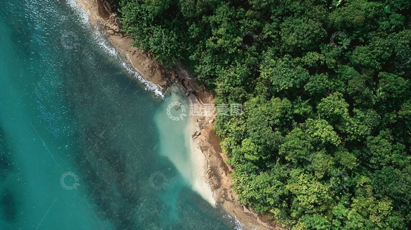 高清大图下载【趣麦麦图】俯瞰视角下的海岸线沙滩与茂密森林