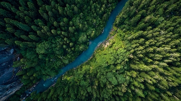 俯瞰视角下的蜿蜒河流与茂密森林景观