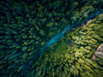俯瞰视角下的森林与河流交织景观