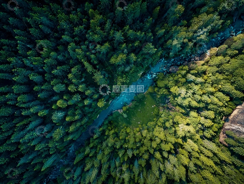 高清大图下载【趣麦麦图】俯瞰视角下的森林与河流交织景观