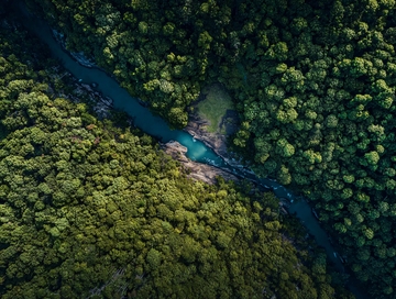 俯瞰视角下的森林中蜿蜒流淌的蓝色河流