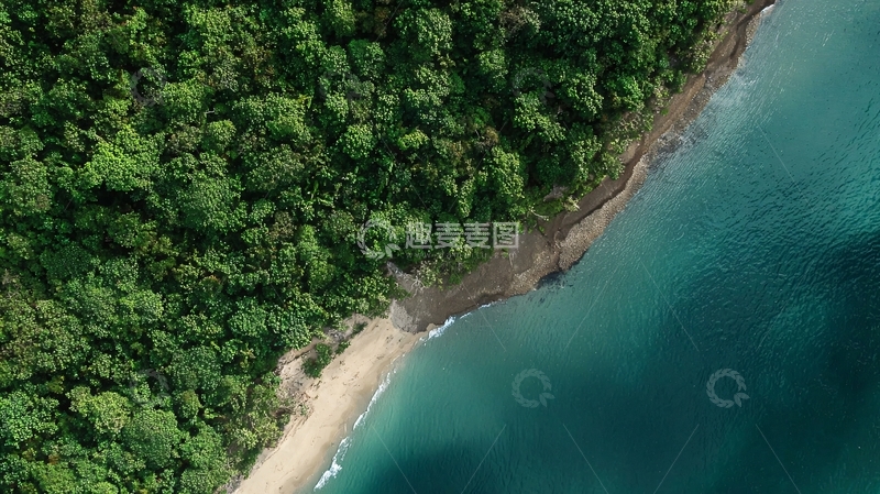 高清大图下载【趣麦麦图】俯瞰视角下的热带海岸线绿树与碧海
