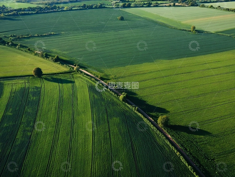 高清大图下载【趣麦麦图】俯瞰视角下的绿色田野与小径