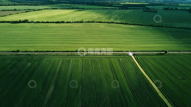高清大图下载【趣麦麦图】高空俯瞰绿色田野与笔直道路的壮丽景观