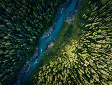 俯瞰视角下的蜿蜒河流与茂密森林景观