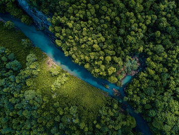 俯瞰视角下的蜿蜒河流与茂密森林景观