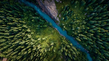 俯瞰视角下的森林与蜿蜒河流景观