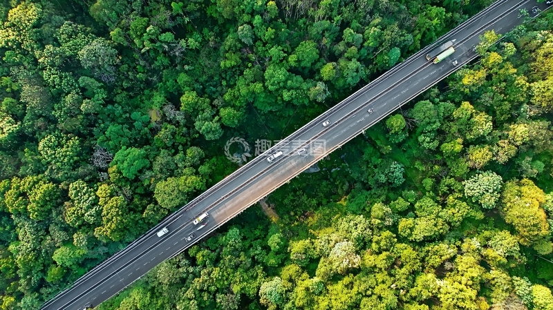 高清大图下载【趣麦麦图】俯瞰视角下穿过茂密森林的公路及行驶车辆
