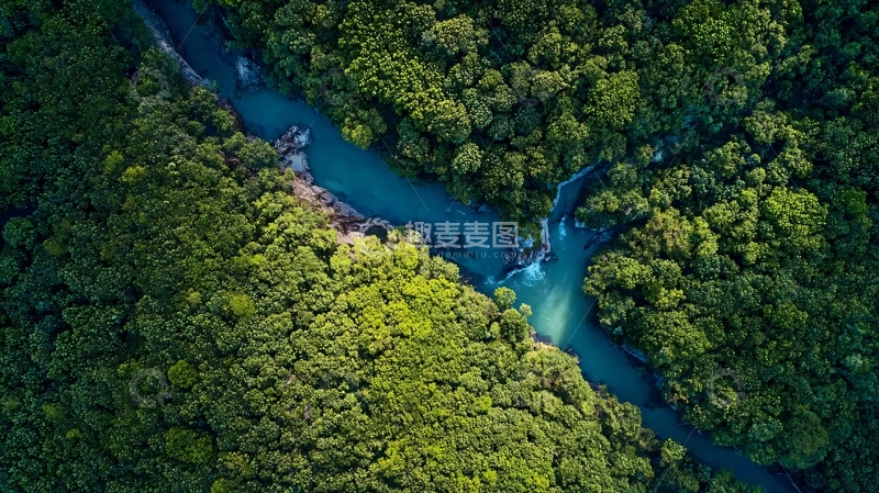 高清大图下载【趣麦麦图】俯瞰视角下的森林中蜿蜒流淌的蓝色河流