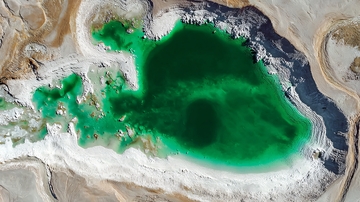 卫星视角下的碧绿湖泊与盐碱地貌景观