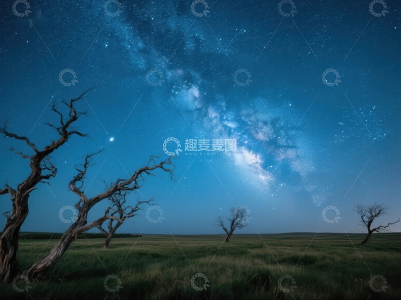 高清大图下载【趣麦麦图】夜空银河与枯树剪影