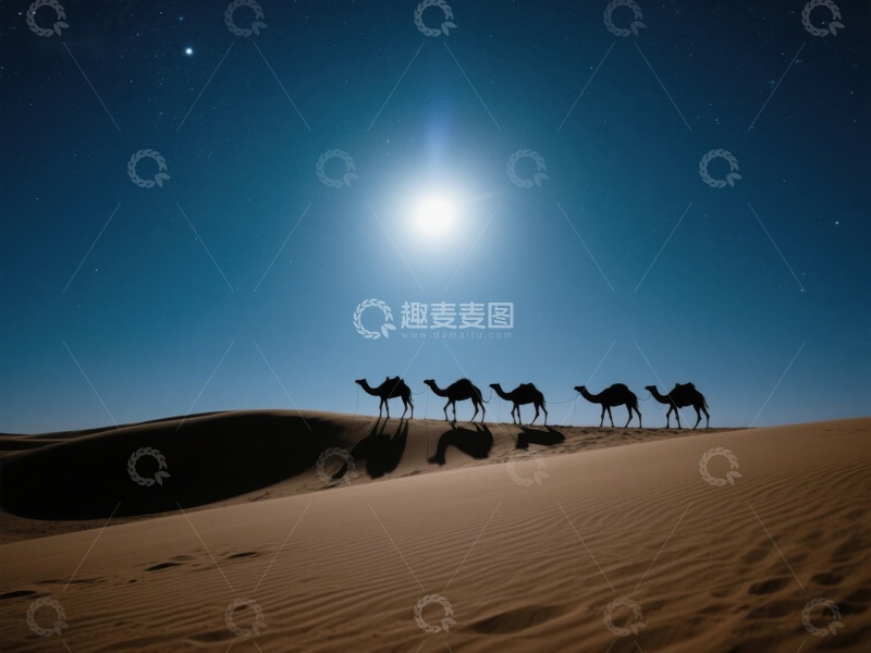 高清大图下载【趣麦麦图】月光下的沙漠骆驼剪影