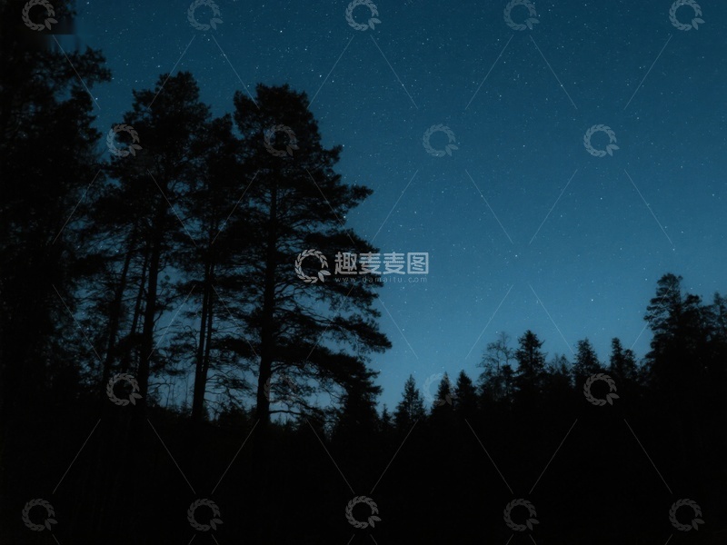 高清大图下载【趣麦麦图】夜空下的森林剪影