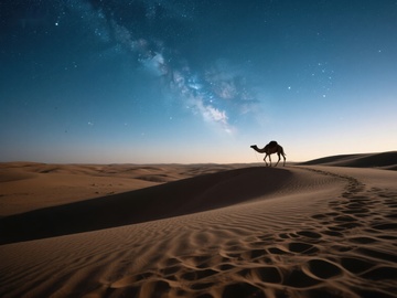 沙漠夜景：骆驼与星空